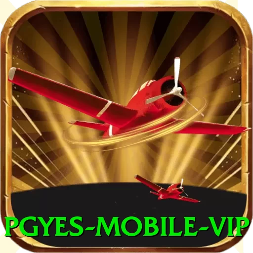 pgyes Mobile VIP - aplicativo